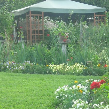 Farm Stay Lackovic Bilje المظهر الخارجي الصورة