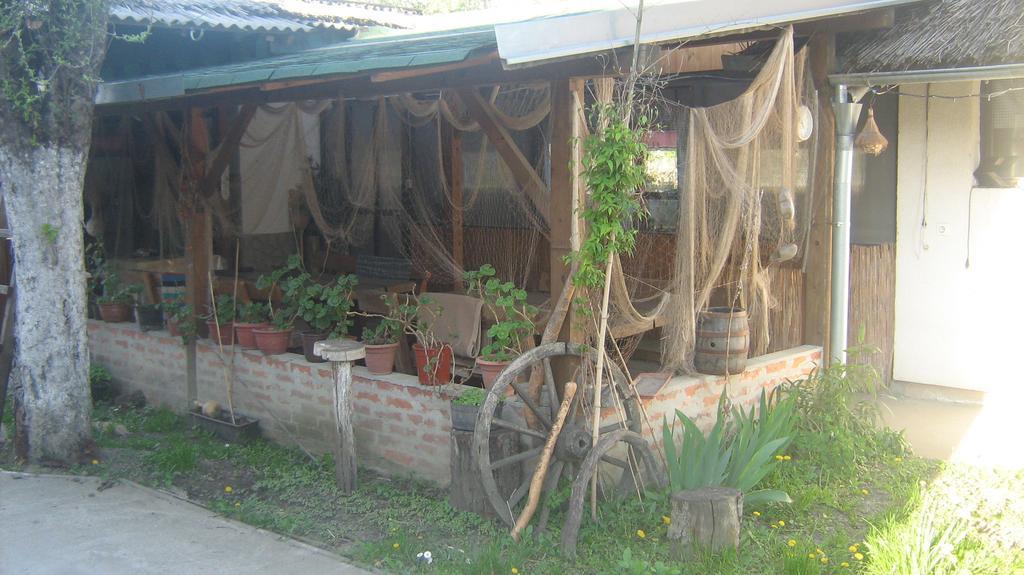 Farm Stay Lackovic Bilje المظهر الخارجي الصورة