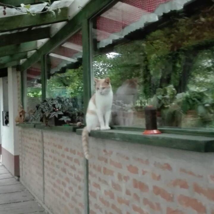 Farm Stay Lackovic Bilje المظهر الخارجي الصورة