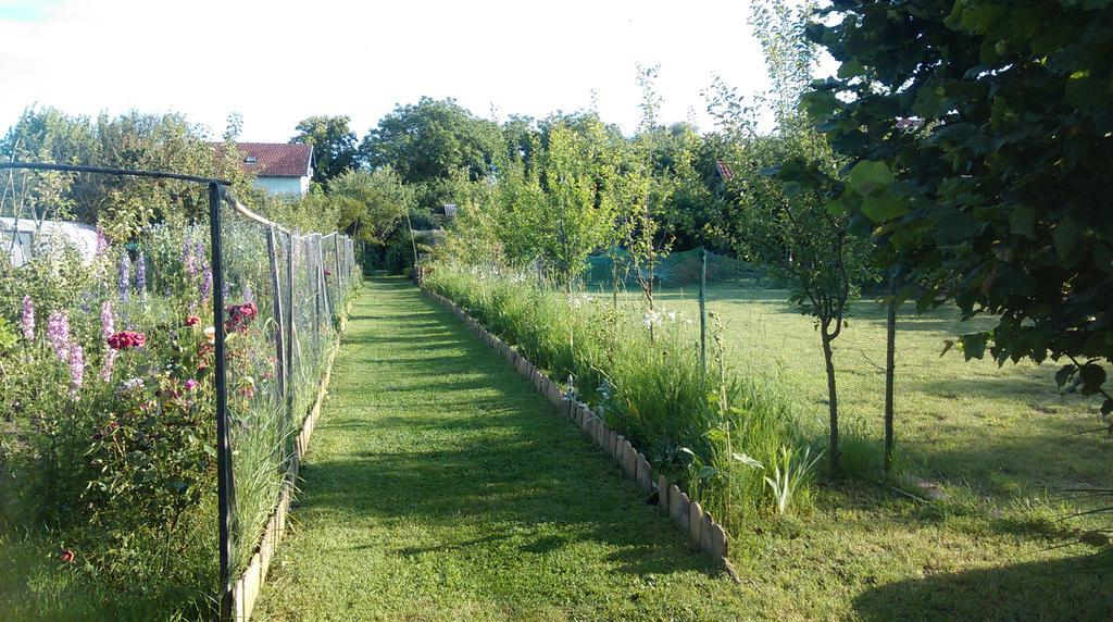 Farm Stay Lackovic Bilje المظهر الخارجي الصورة