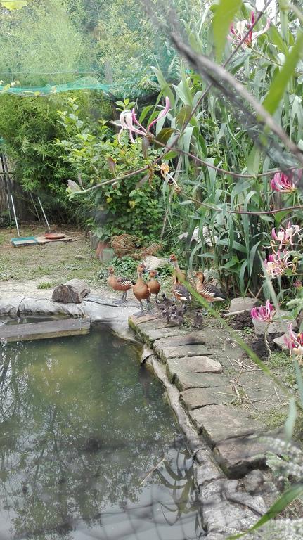 Farm Stay Lackovic Bilje المظهر الخارجي الصورة