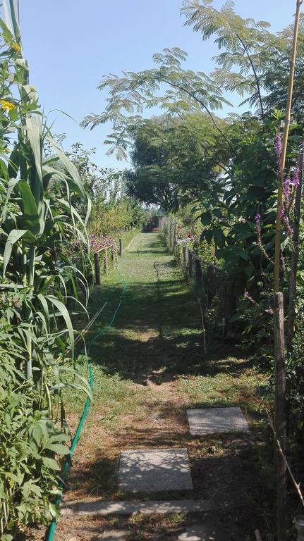 Farm Stay Lackovic Bilje المظهر الخارجي الصورة