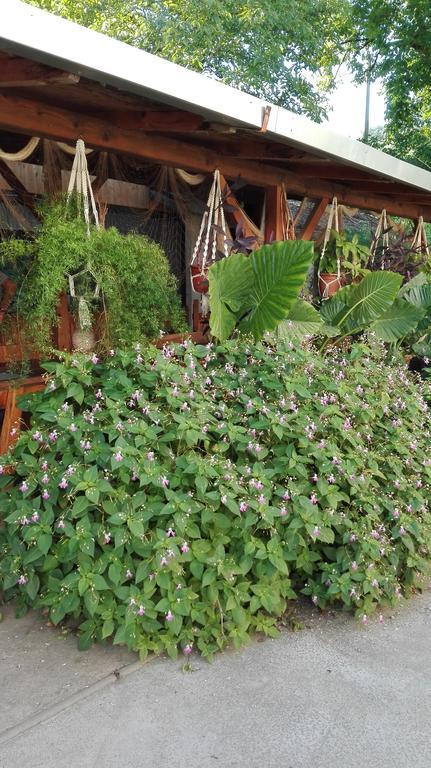 Farm Stay Lackovic Bilje المظهر الخارجي الصورة